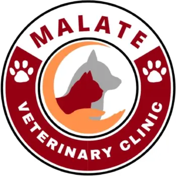 malate veterinary clinic