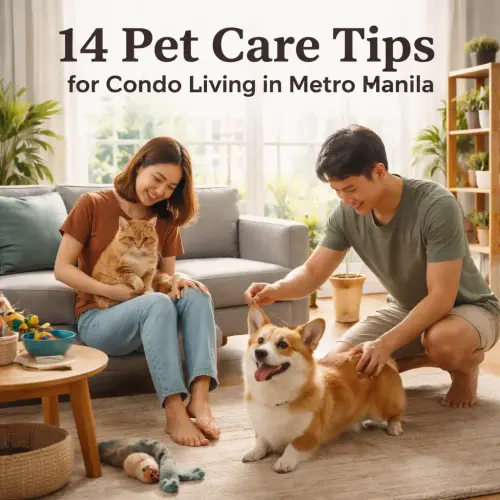 Pet Care Tips for Condo Living in Metro Manila