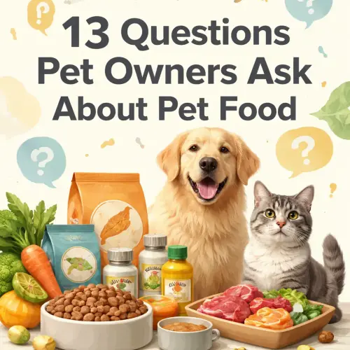 Questions Pet Owners Ask About Pet Food